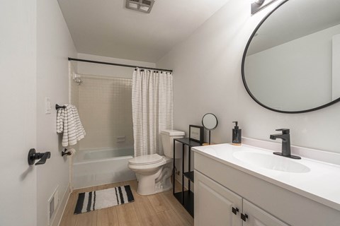 a bathroom with a shower toilet and sink and a mirror