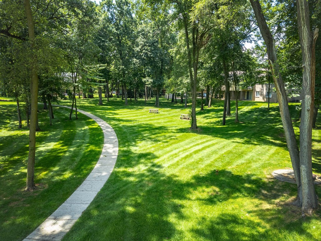 a path through a park with trees and grass