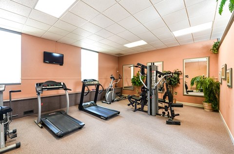 A gym with treadmills, exercise bikes, and other equipment.