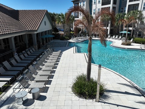 A pool area with sun loungers and a palm tree.