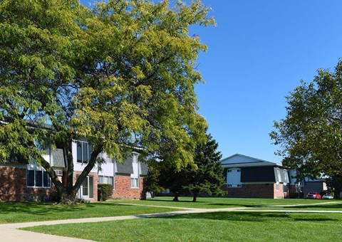 A tree with green leaves is in front of a building with a grey roof.
