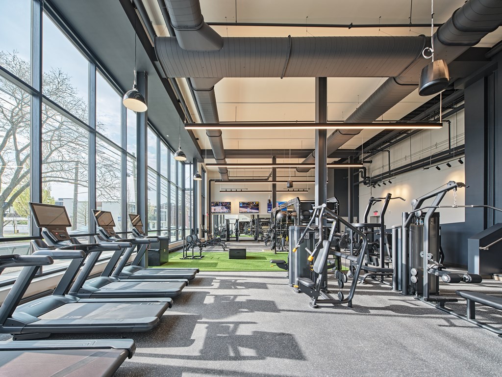 A gym with treadmills, weights, and exercise equipment.