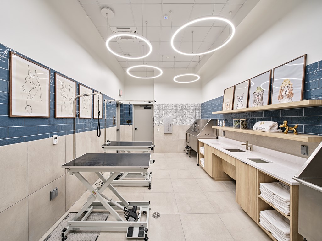 A modern kitchen with a sink, stove, and fridge.