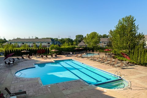 A large swimming pool surrounded by lounge chairs and trees.