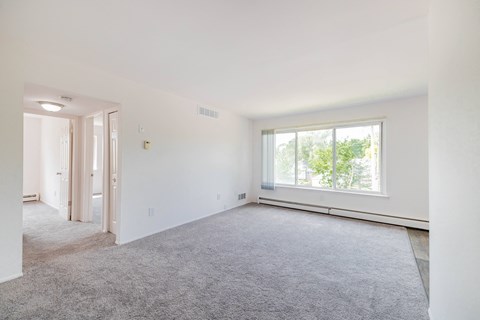 A large, empty room with a carpeted floor and a window.