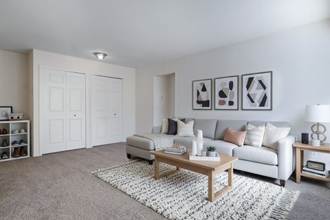 A living room with a grey sofa, a wooden coffee table, and a grey rug.