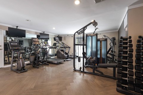 A well-equipped gym with a variety of exercise machines.