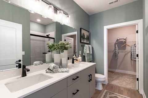 a bathroom with a sink and a mirror and a toilet