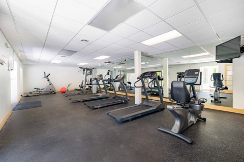 A gym with treadmills, exercise bikes, and other equipment.