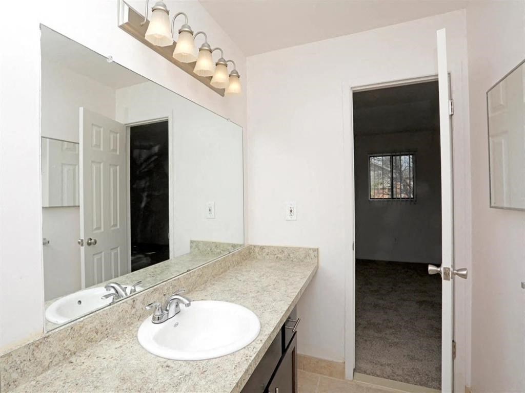 a bathroom with a sink and a large mirror