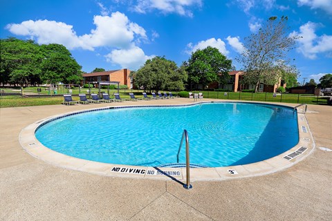 A large swimming pool with a no diving sign.