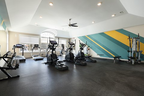 A gym with a variety of exercise equipment.
