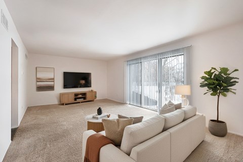 A living room with a white couch, a television, a plant, and a window with blinds.