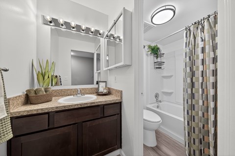 A bathroom with a brown countertop and a white toilet.
