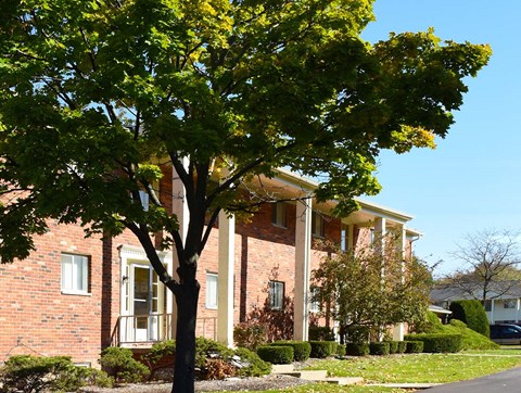 A tree in front of a red brick house.