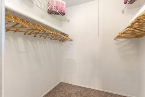 A white closet with wooden hangers and a carpeted floor.