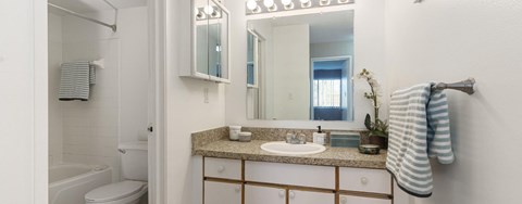 A bathroom with a sink, mirror, and toilet.
