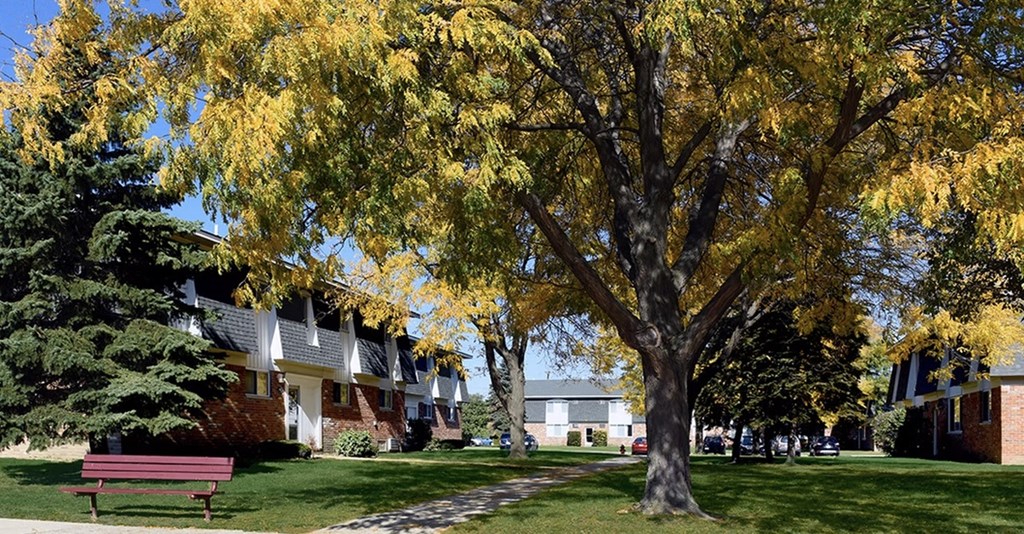 A tree with yellow leaves stands in front of a building.