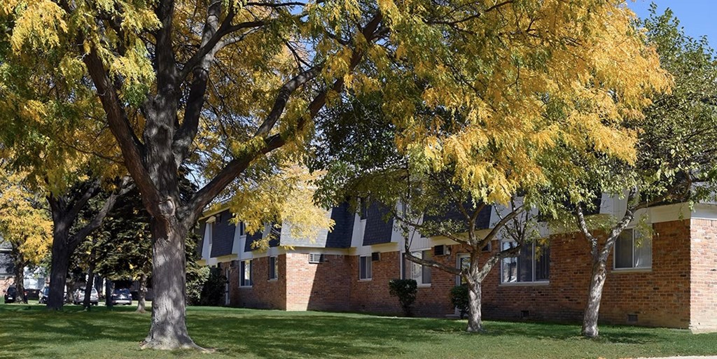 A tree with yellow leaves stands in front of a building.