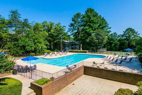 A pool surrounded by trees and a fence.