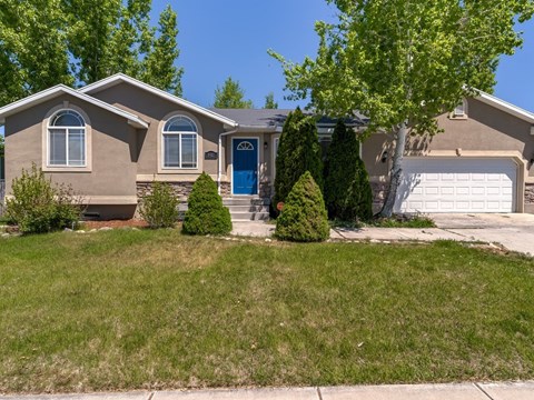 A house with a blue door and a tree in front.