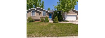 A house with a blue door and a tree in front.