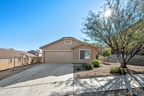 A house with a brown garage door and a tree in front.