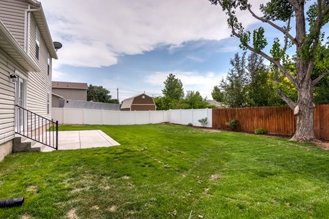 A backyard with a fence, a tree, and a house.