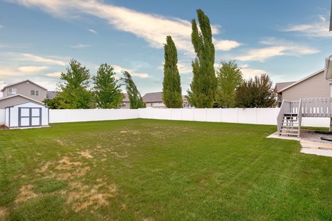 A backyard with a white fence and a tree.