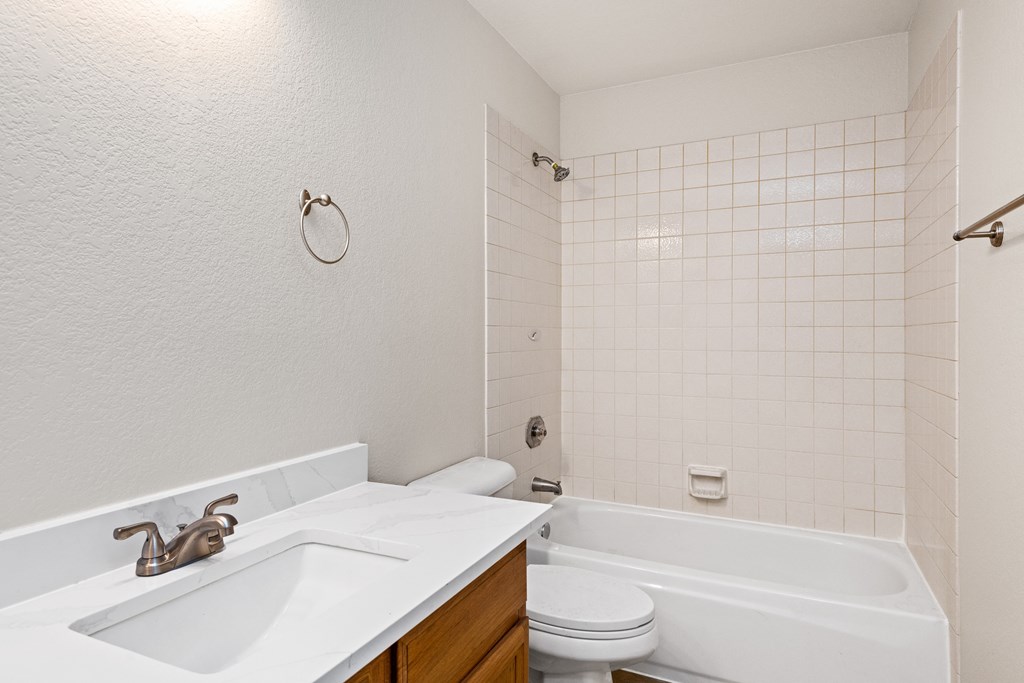 a bathroom with a sink and a toilet and a bath tub