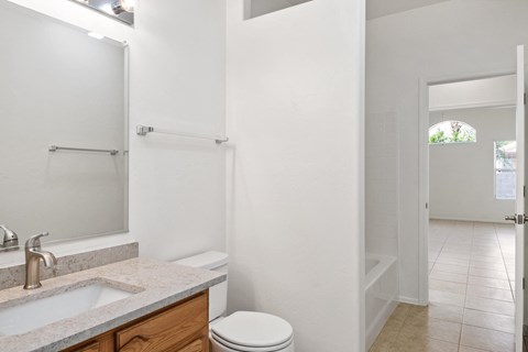 a bathroom with a sink and a toilet and a mirror