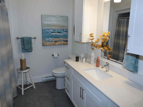 a bathroom with a toilet and a sink and a painting