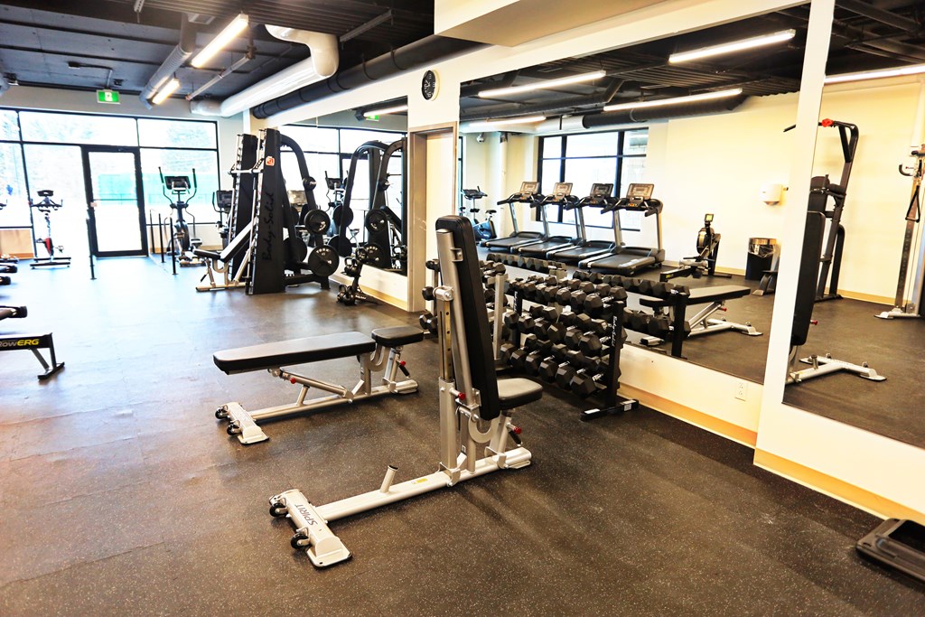 A gym with a variety of equipment including weights and treadmills.