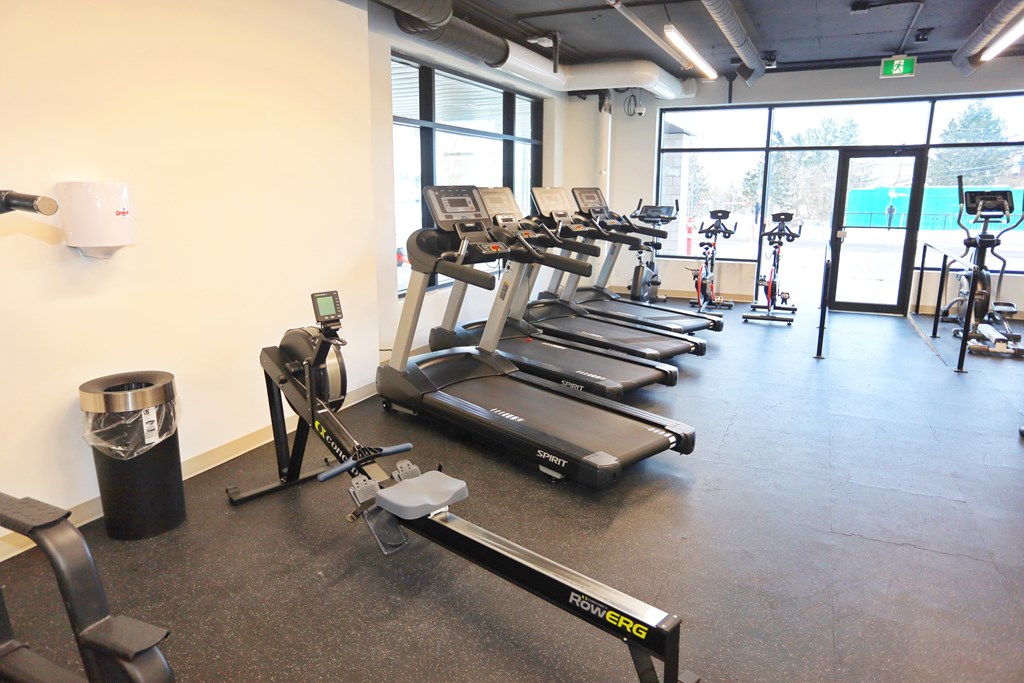 A gym with treadmills, exercise bikes, and other equipment.