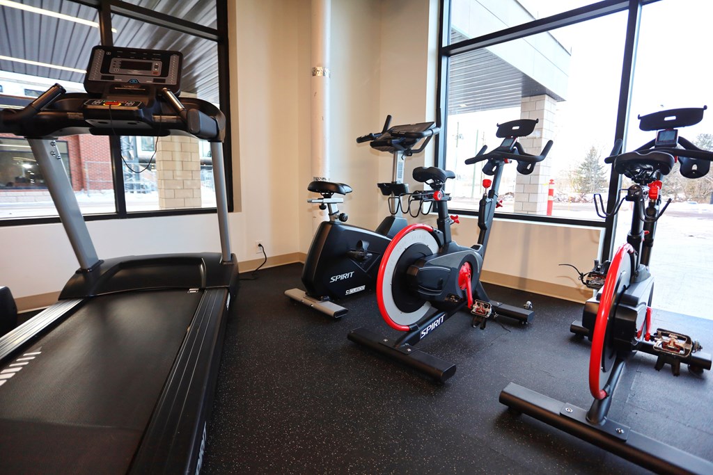 A treadmill and two stationary bikes are in a gym.