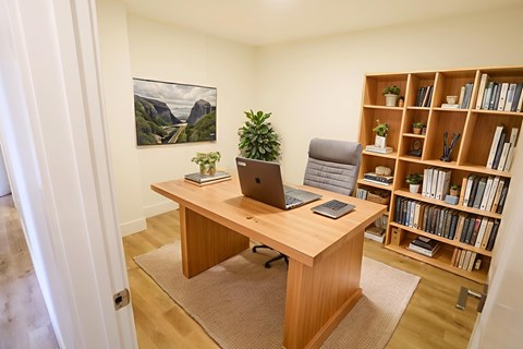 A room with a desk, a laptop, a phone, a potted plant, and a bookshelf.
