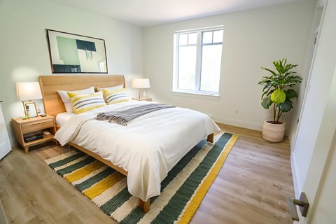 A bedroom with a bed, a potted plant, and a rug.