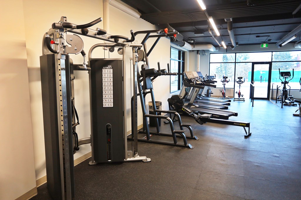 A gym with a row of treadmills and a row of weight machines.