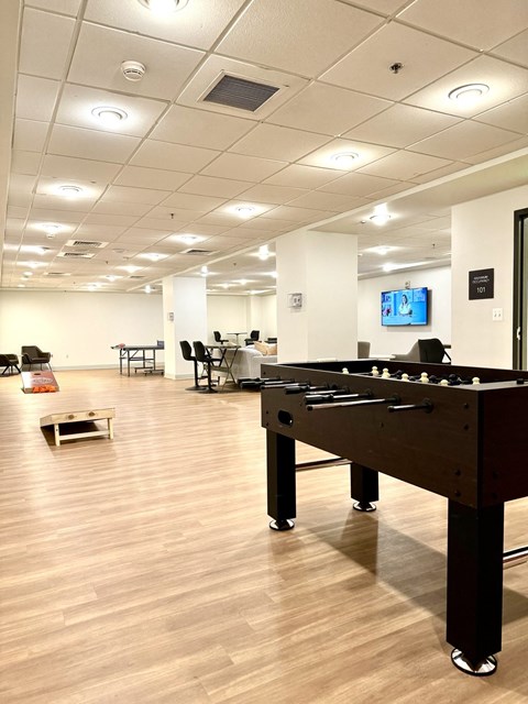 a game room with a pool table and a tv