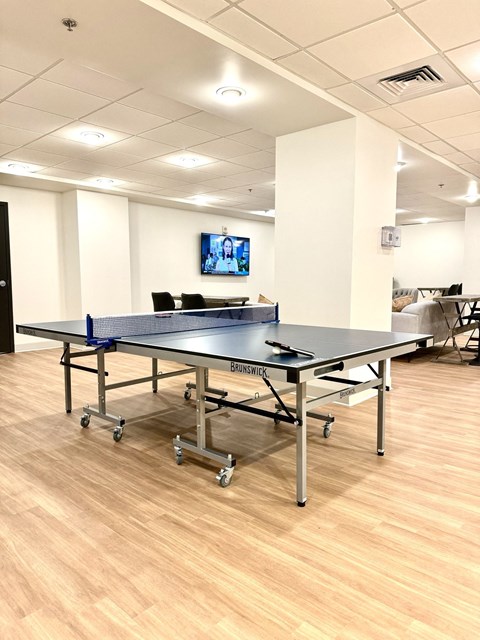 a gaming room with a ping pong table and a tv