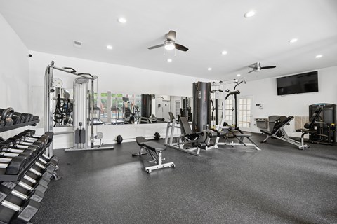 A spacious gym with a variety of equipment including treadmills, weights, and a bench press.