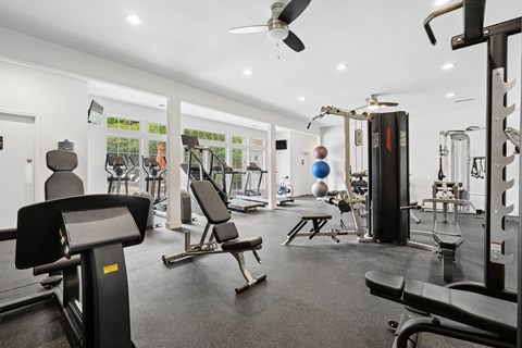 A gym with a variety of equipment including treadmills, weights, and a bench press.