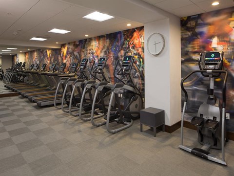 a row of cardio exercise machines in a fitness center