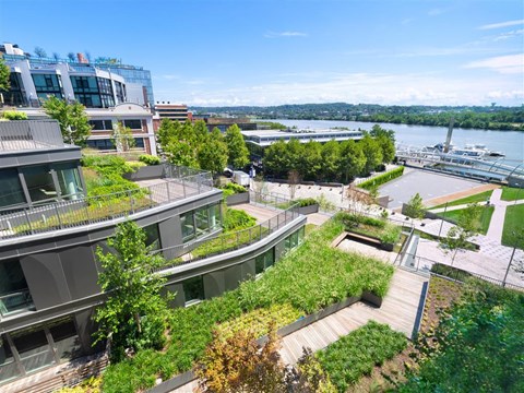 3 Tingey Square Southeast Studio-2 Beds Apartment for Rent