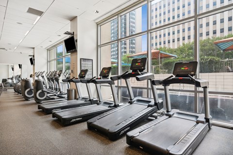 A gym with treadmills and elliptical machines.