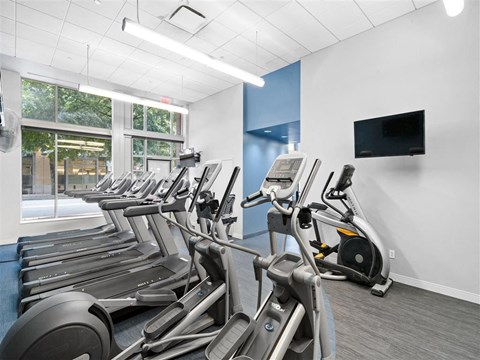 A row of treadmills in a gym with a TV mounted on the wall.