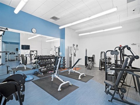 The community gym located in 91 Sidney for all residents of The Residences of University Park. The image shows a variety of equipment including free weights, machine weights, and cardio machines.