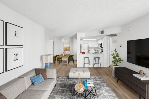 A living room with a grey couch, a coffee table, and a television.