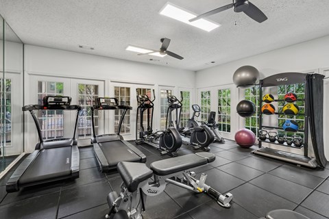 A well-equipped gym with treadmills, exercise balls, and weight racks.