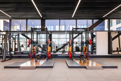 A gym with a variety of equipment including a squat rack and bench press.